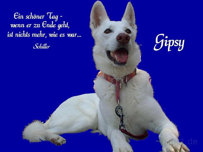 Gipsy_0001.jpg